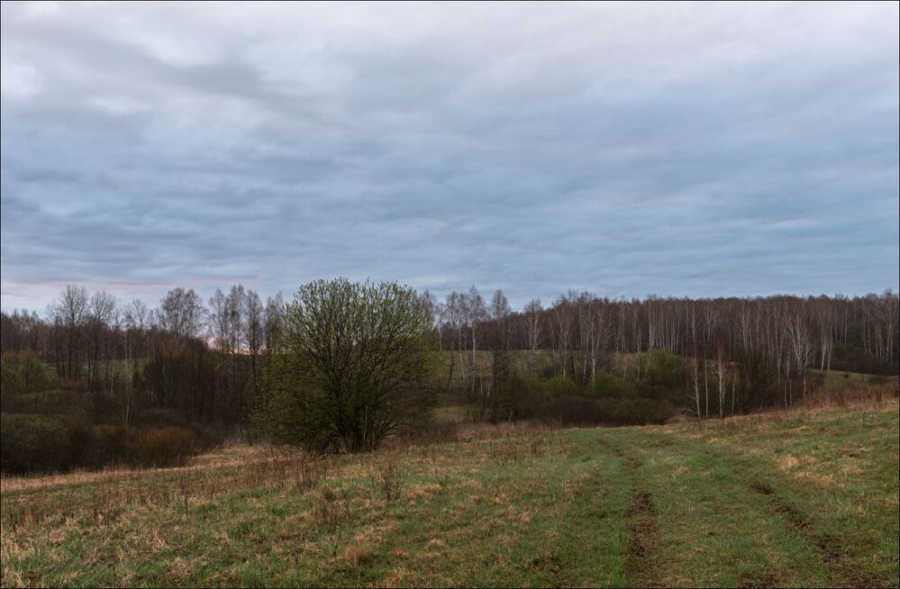 Догорают утренние краски