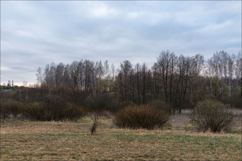 Не ласковое начало мая