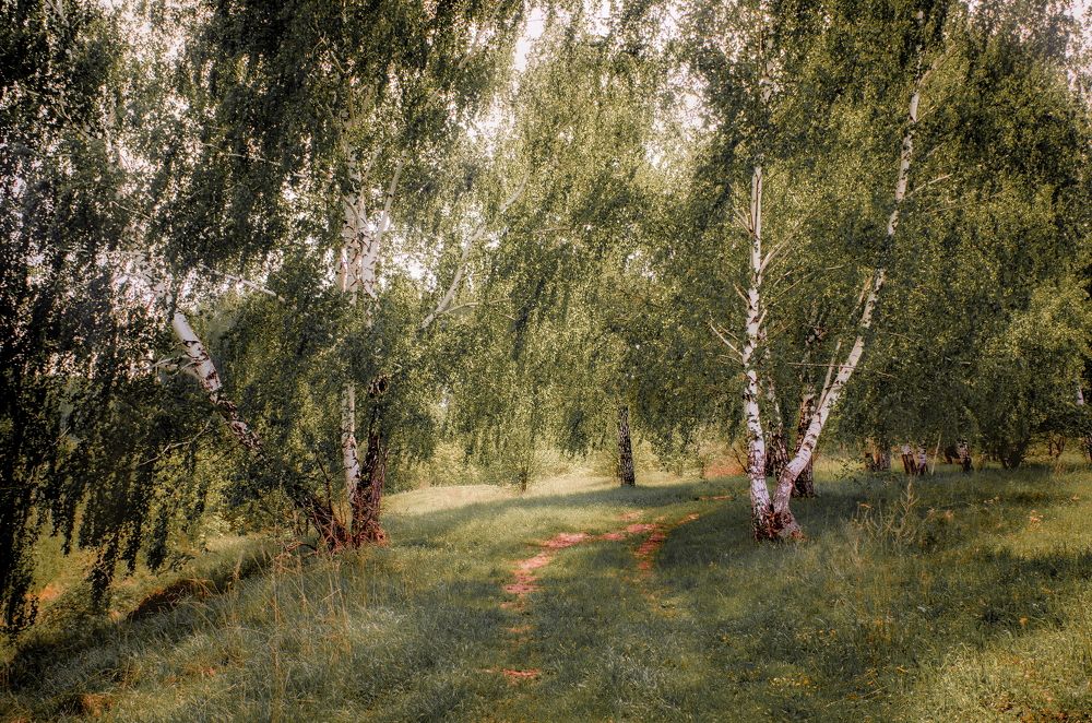 Природа Липецкой области