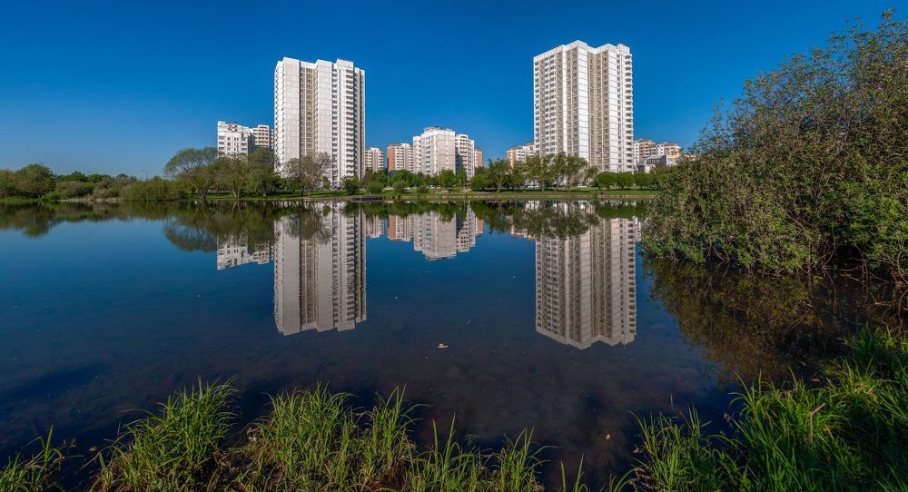 В парке утром