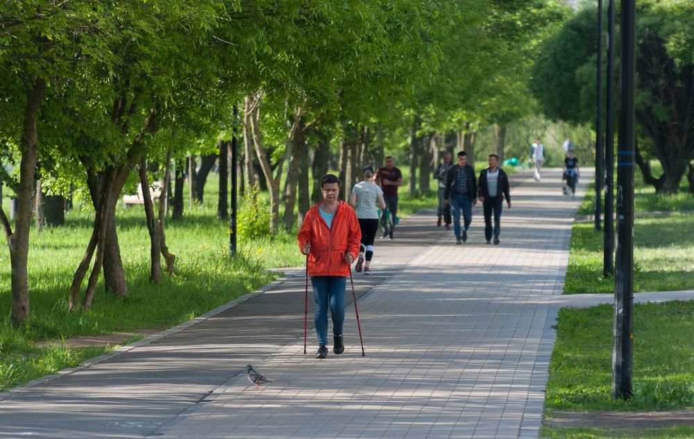 В парке утром