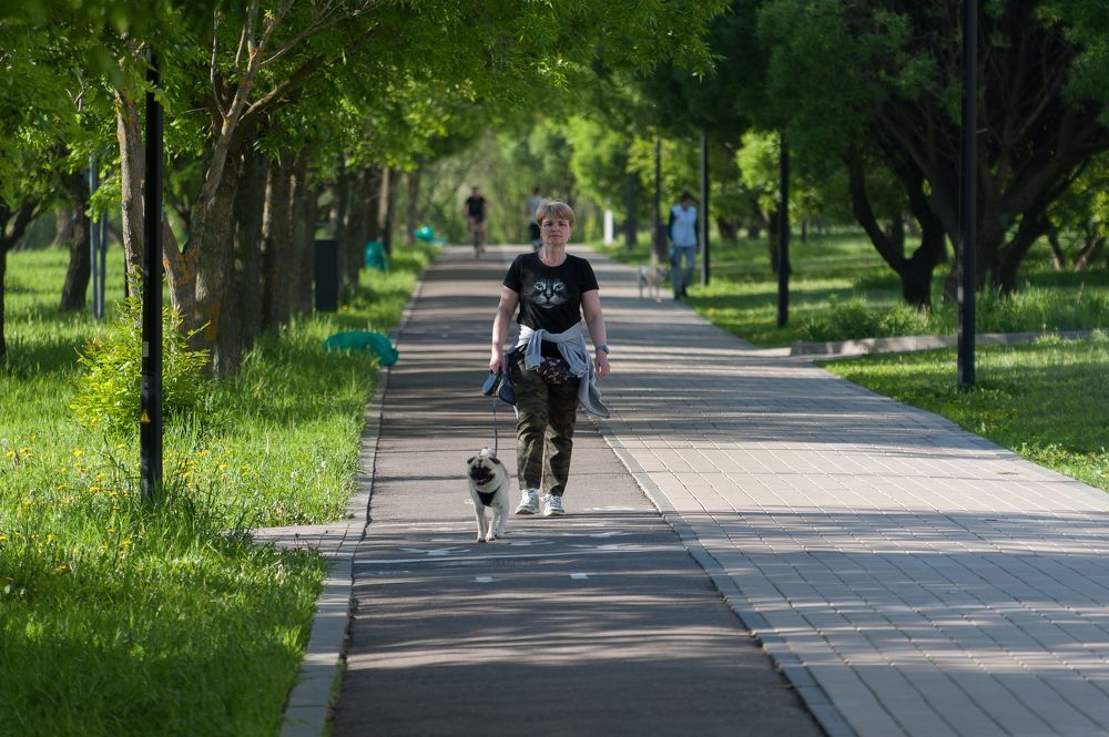 В парке утром