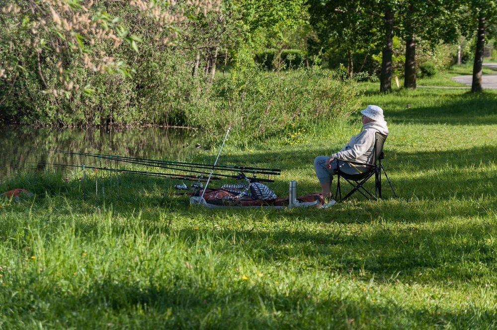 В парке утром