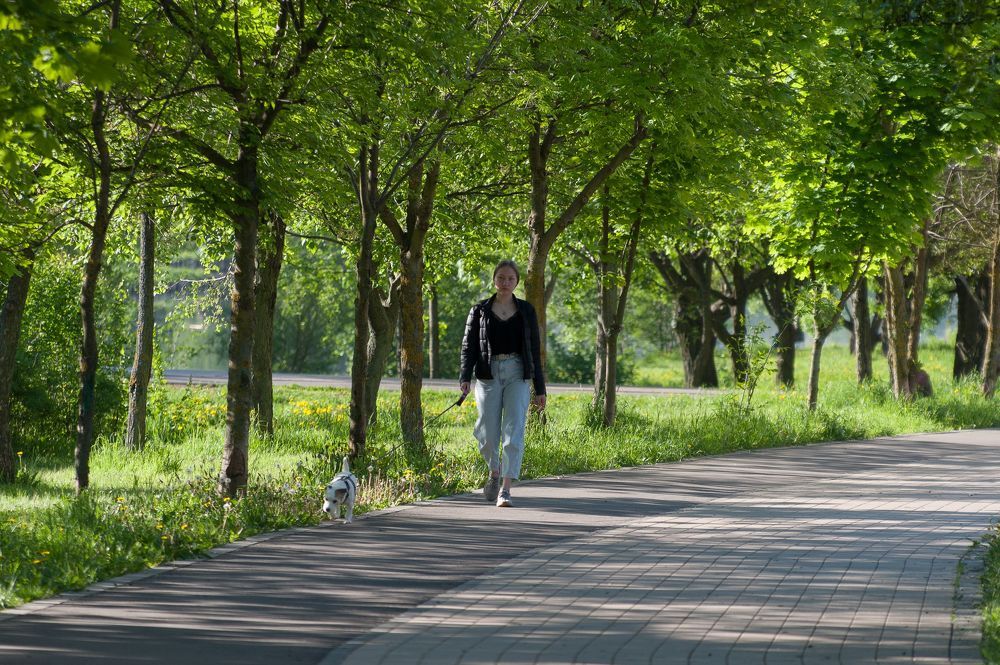 В парке утром