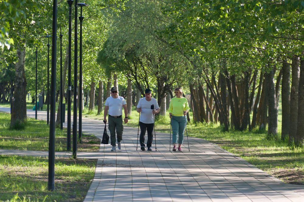 В парке утром