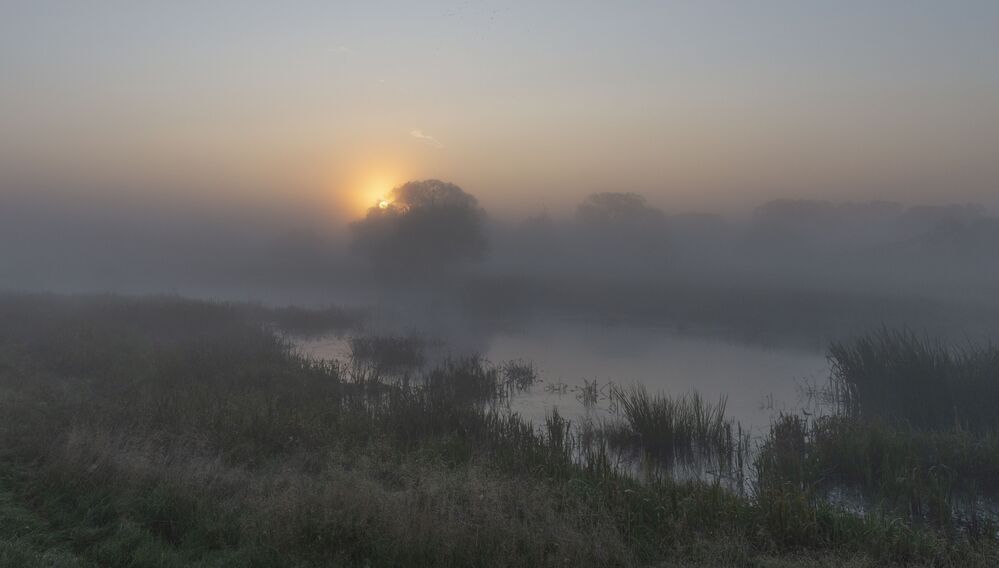 dawn stories...