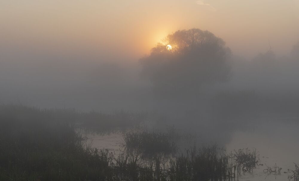 dawn stories...
