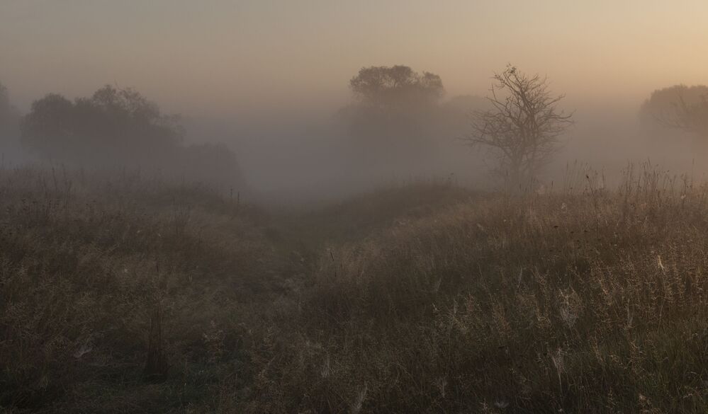 dawn stories...
