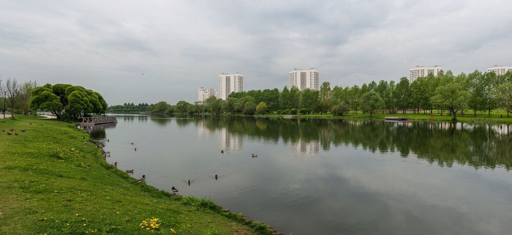 Субботнее утро