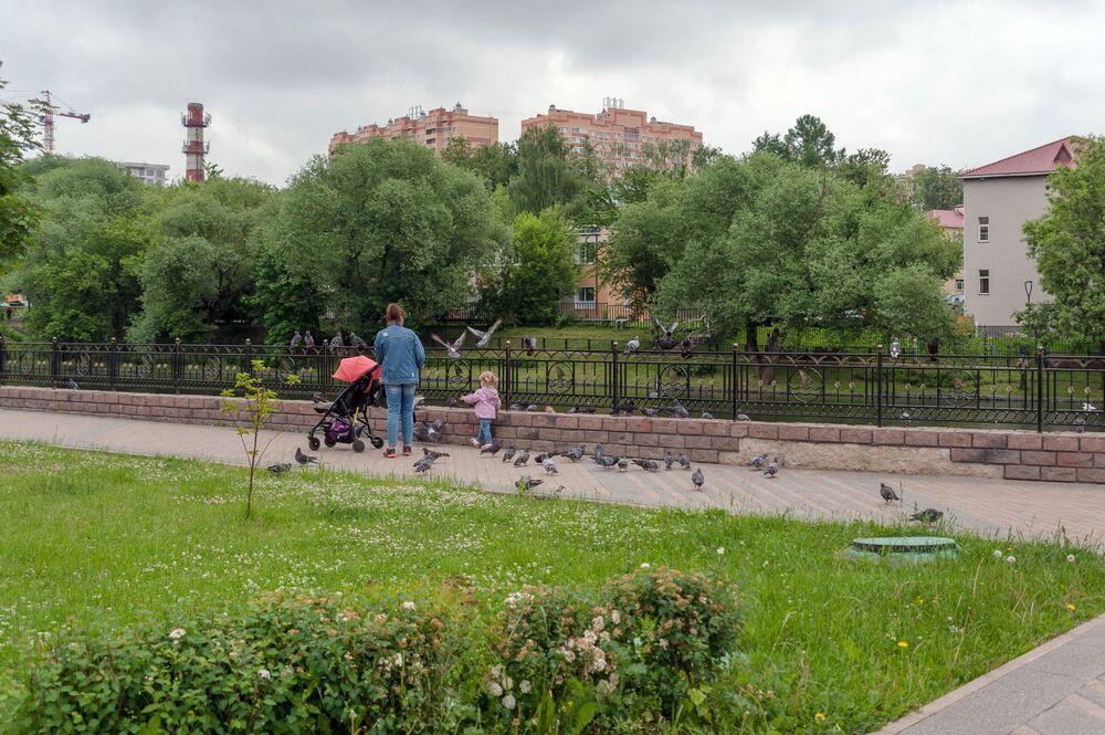 Конторский пруд в Коммунарке
