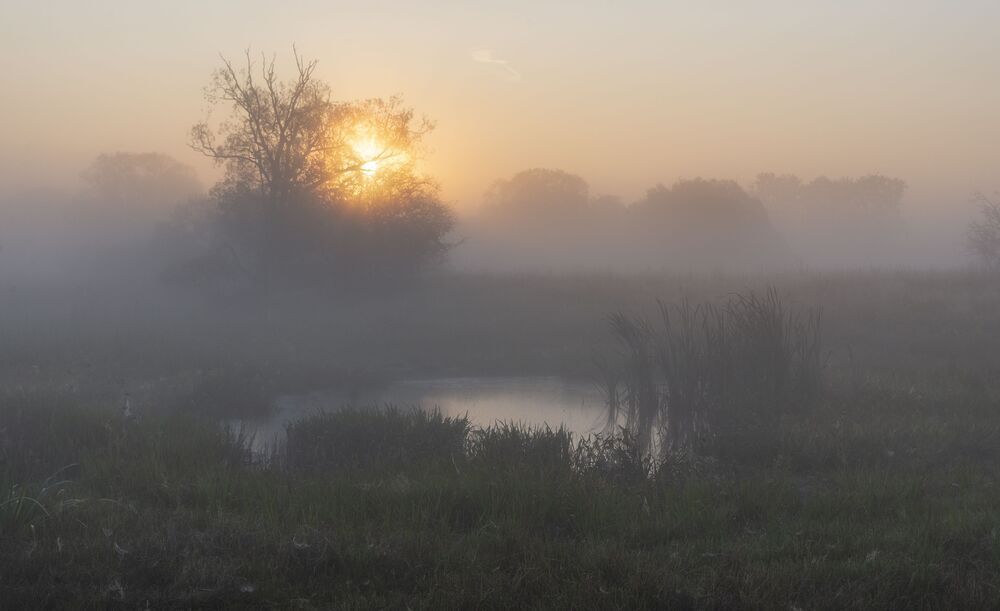 in mystical mists ...