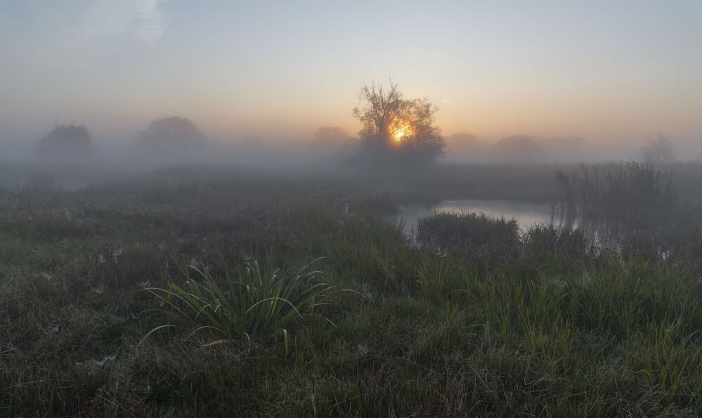 in mystical mists ...