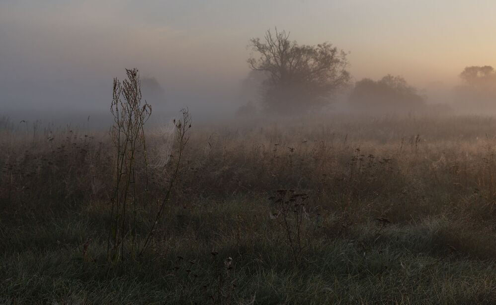 in mystical mists ...
