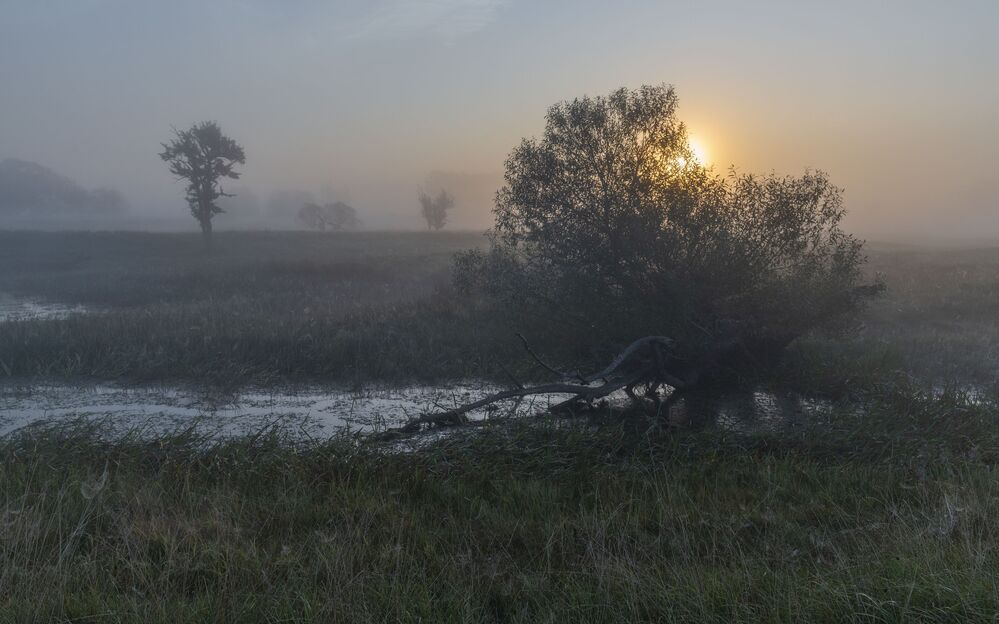 in mystical mists ...