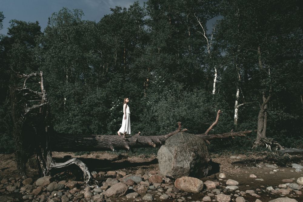 Photo 1954815