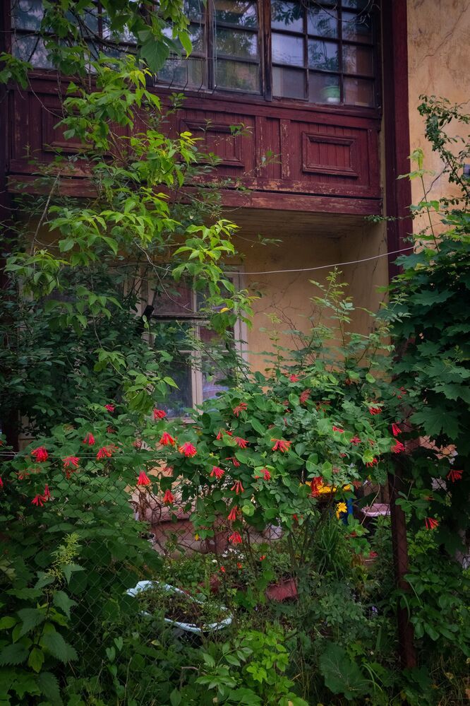 Vintage street
