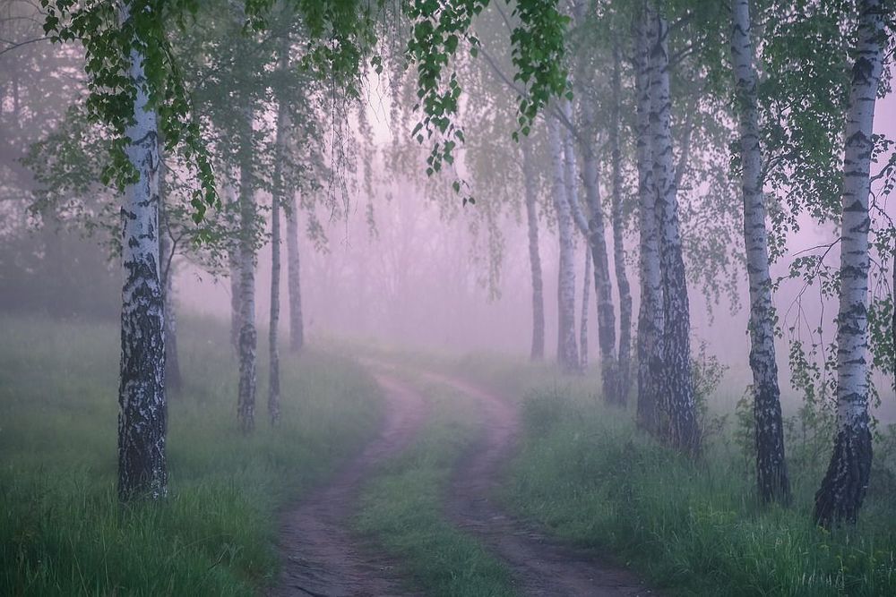 Утро.Тишина.
