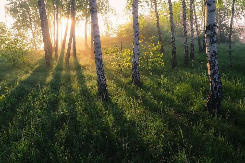 Утро.Тишина.