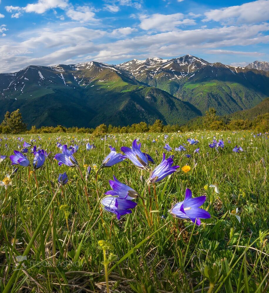 Весна в горах