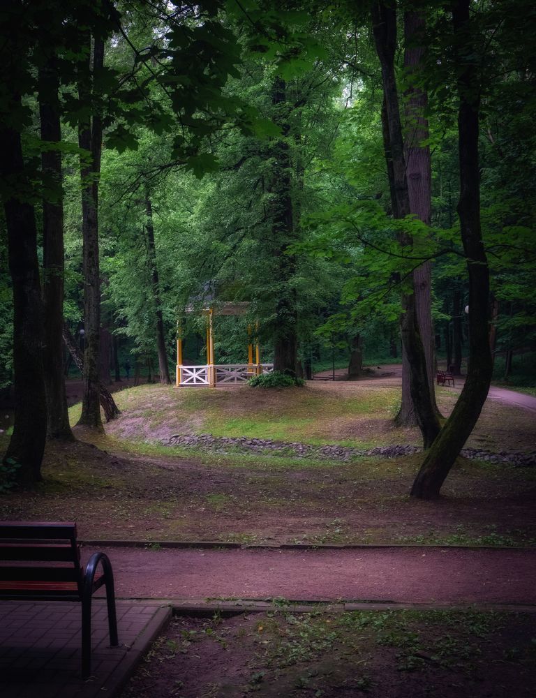Летом в парке
