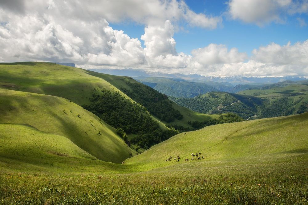 На просторах Аурсентх