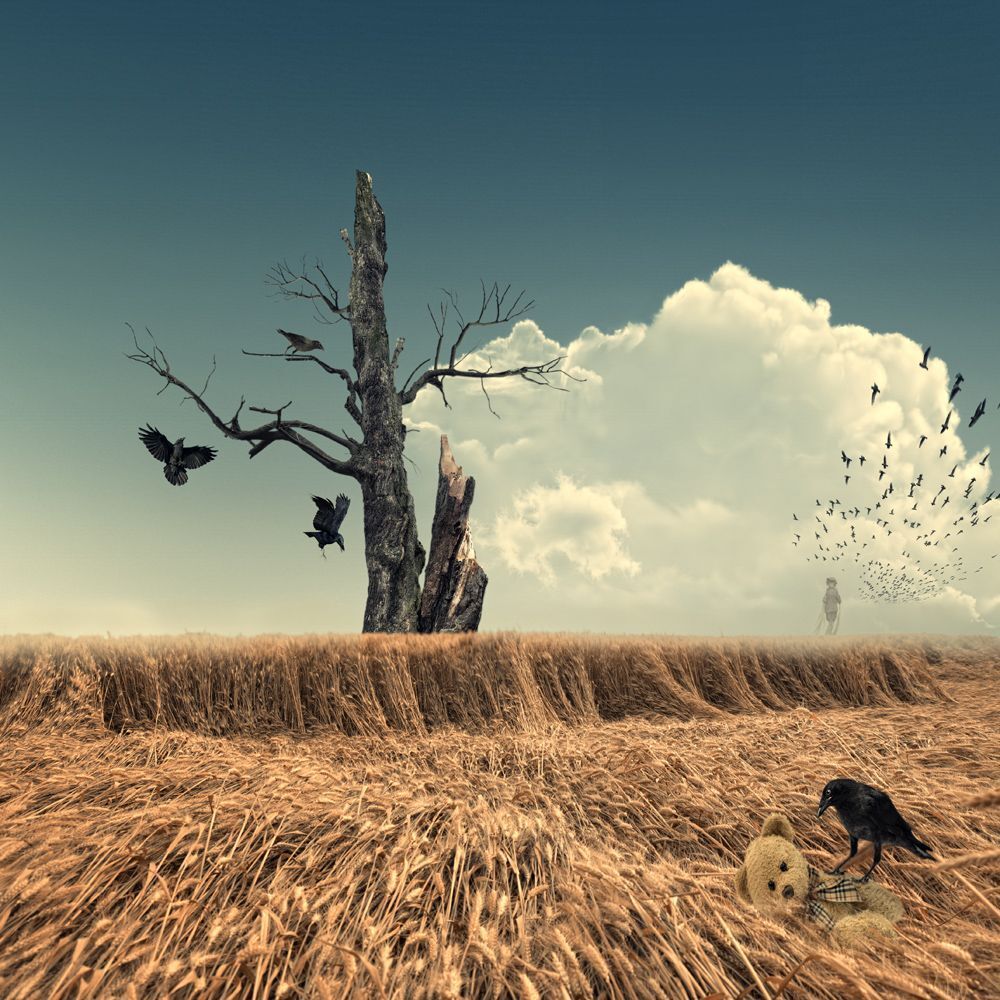 The story of the lost teddy bear - part of series -