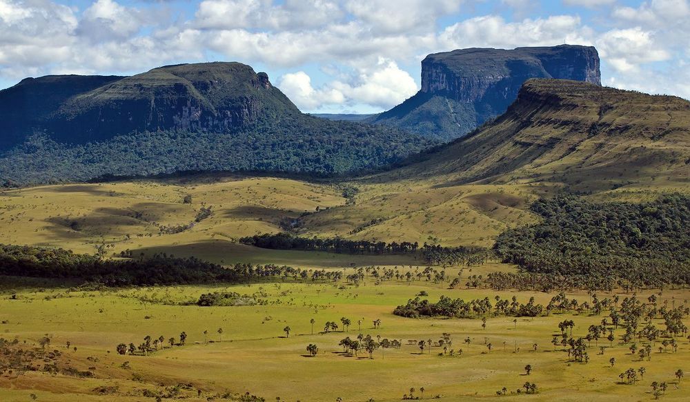 Canaima