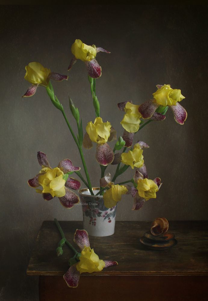 Фотозарисовки с уходящими ирисами