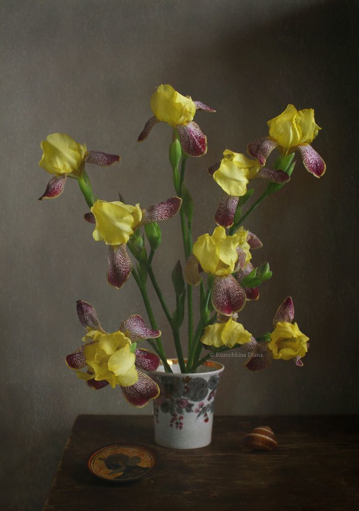Фотозарисовки с уходящими ирисами
