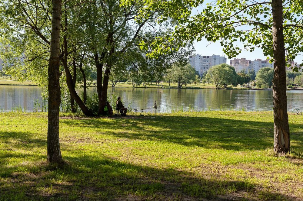 Рано утром в парке