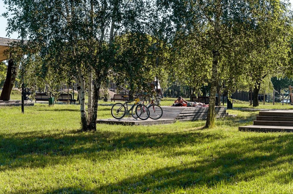 Рано утром в парке