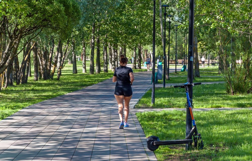 Рано утром в парке
