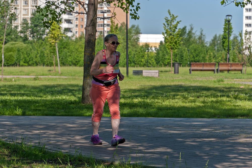 Рано утром в парке
