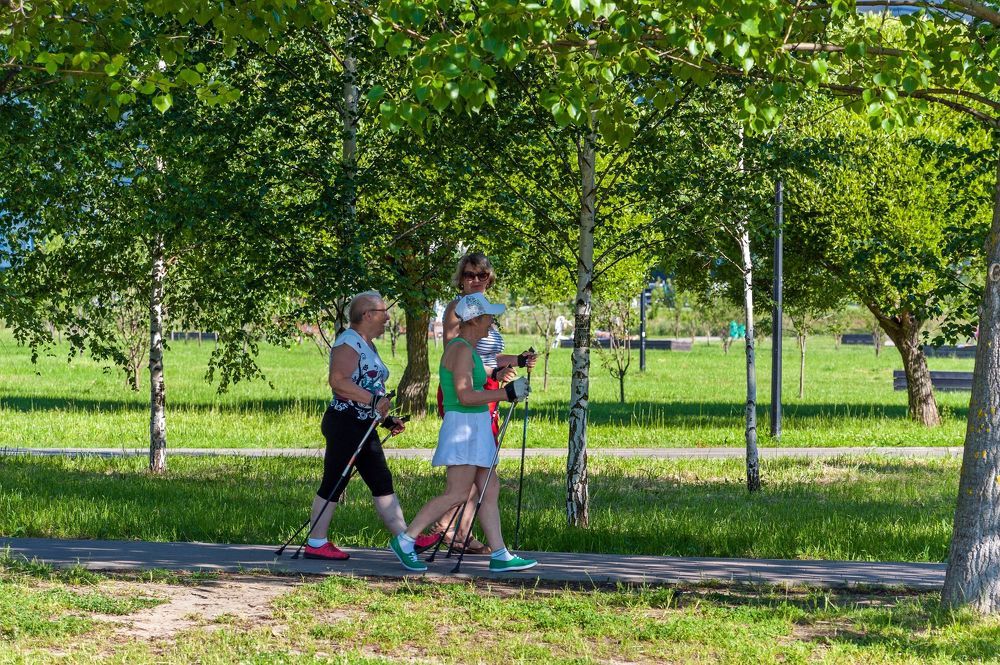 Рано утром в парке
