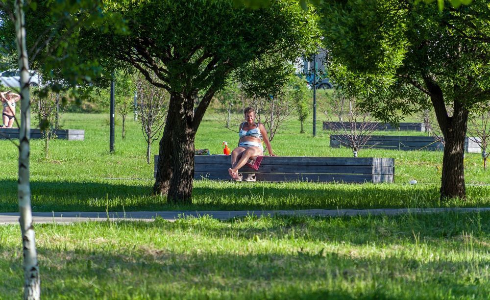 Рано утром в парке