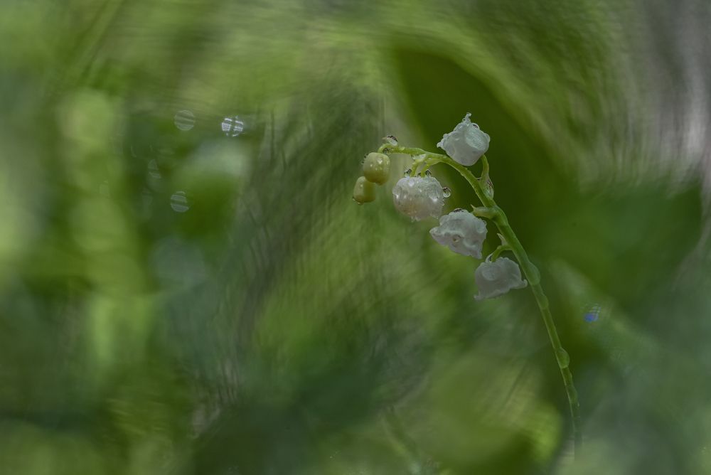 Весенний марафон. Часть первая.