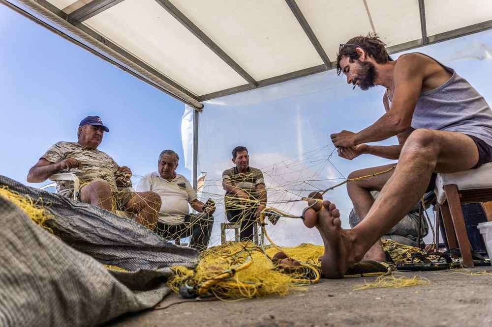 Fishermen in Action, Crete 2021