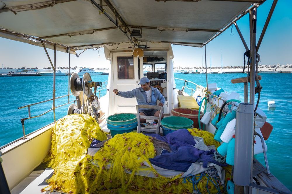 Fishermen in Action, Crete 2021