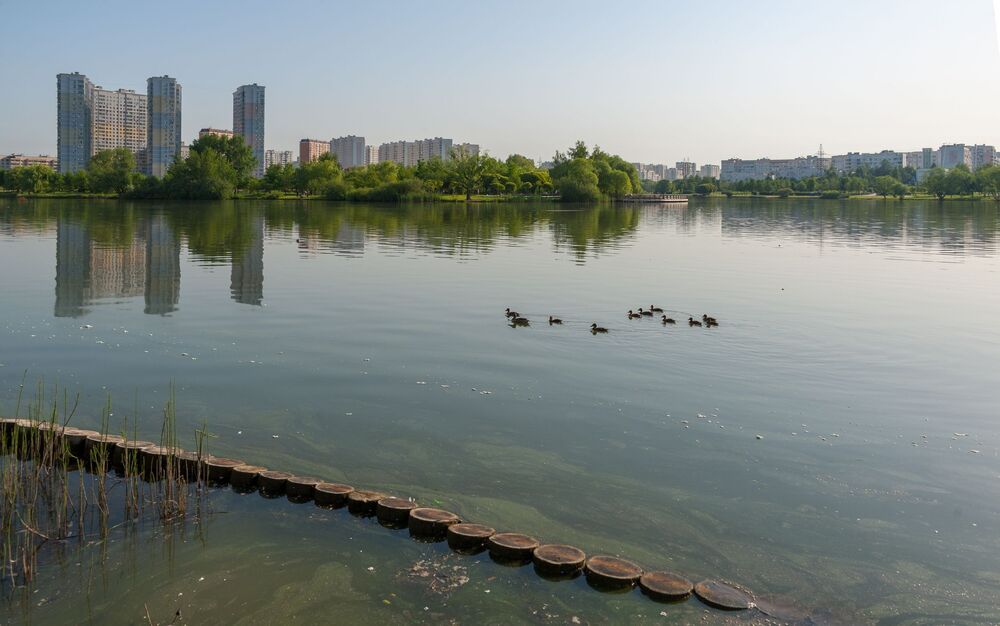 Мирного неба над головой