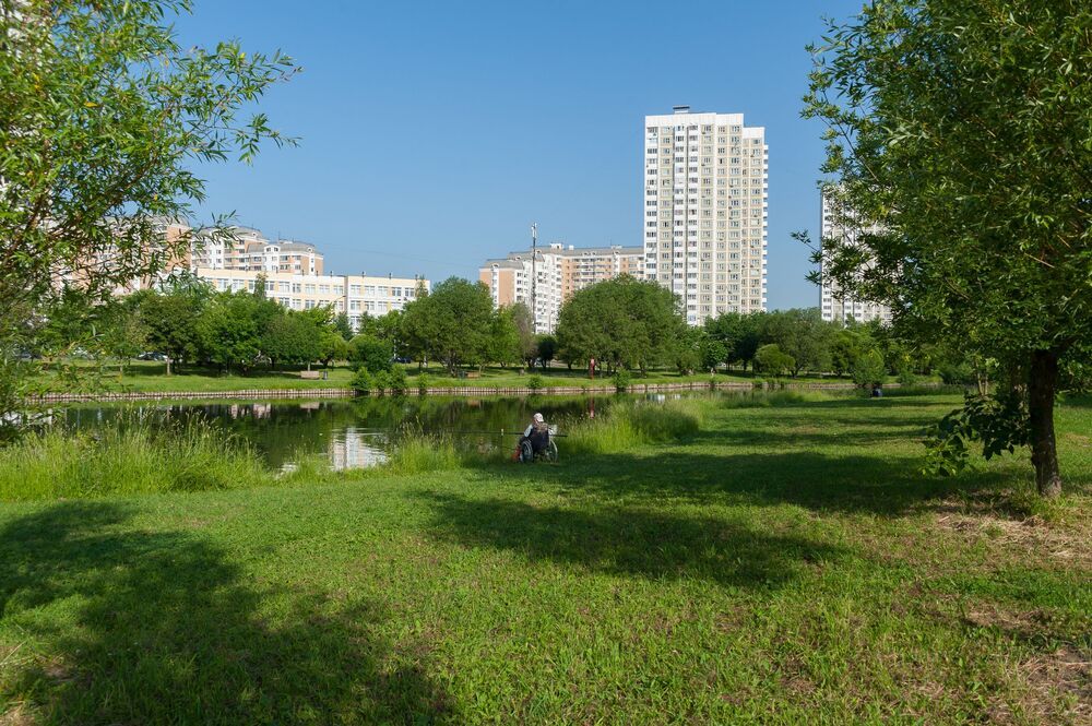 Мирного неба над головой