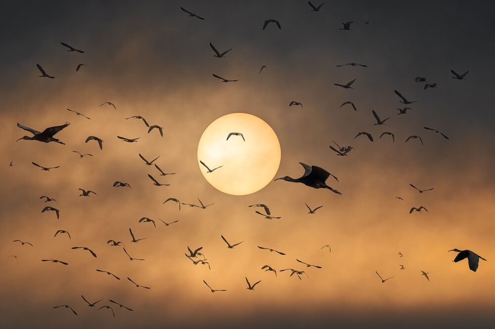 Arie Burla Photography