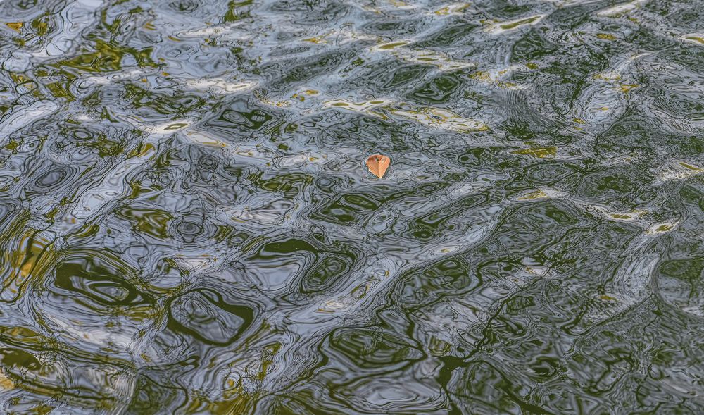 Водные страсти.