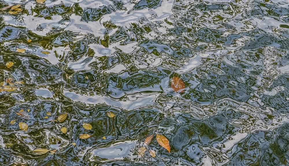 Водные страсти.