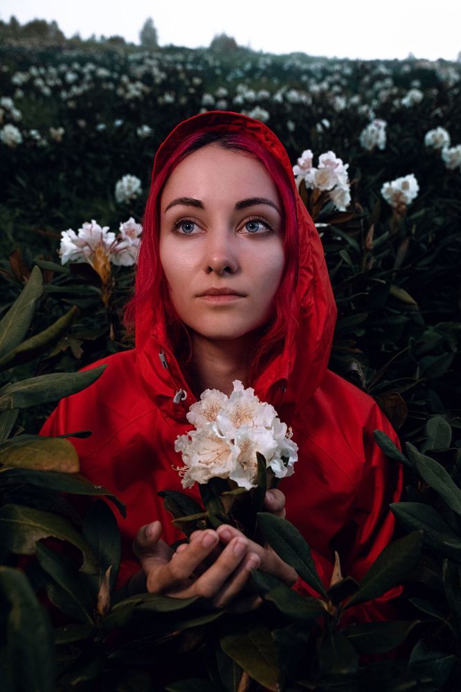 Сердце рододендрона