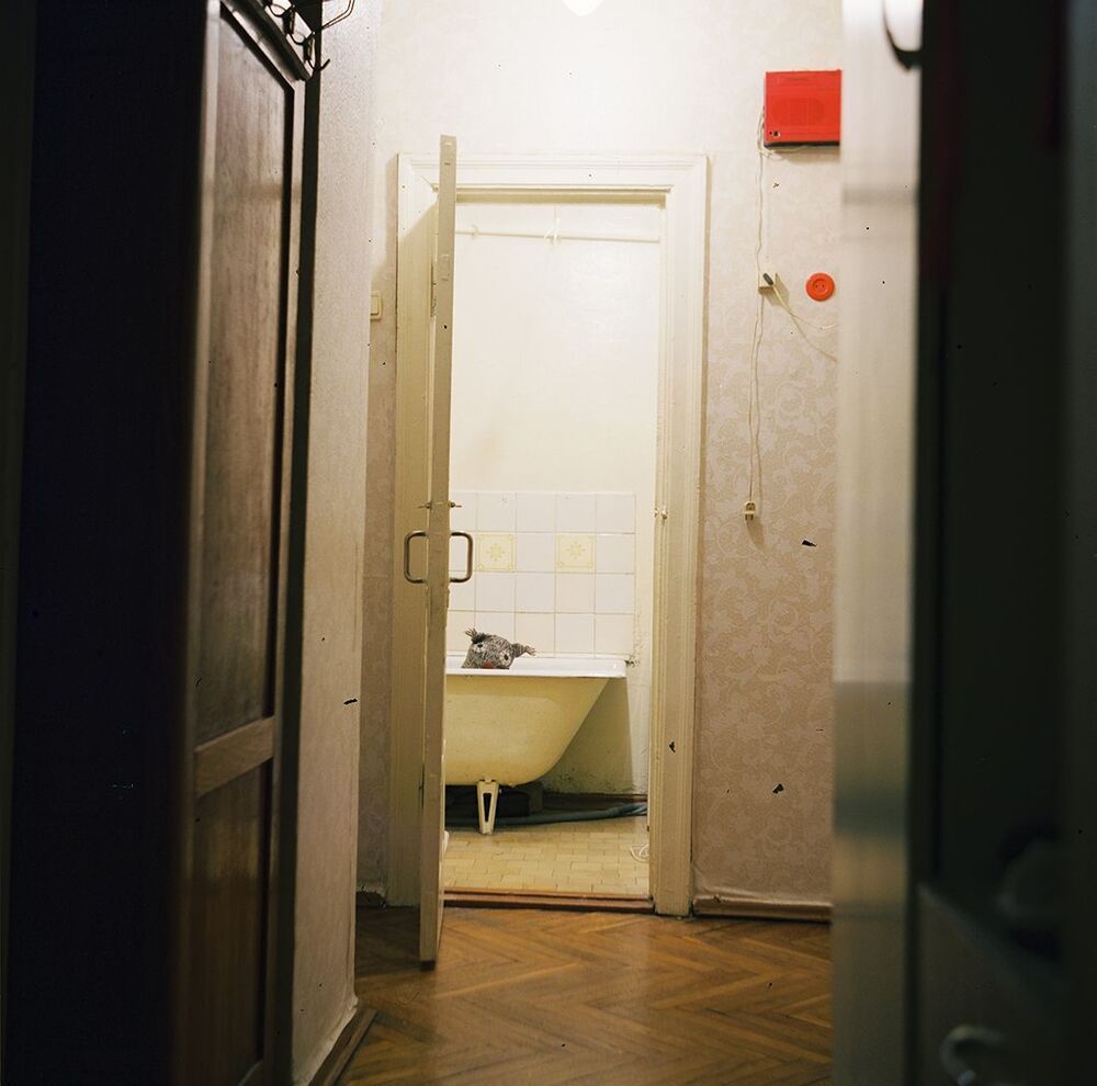 Photo 1966372