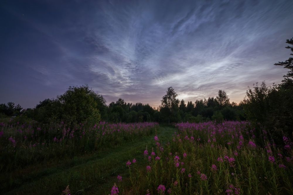 про серебристые облака,  белые ночи и теплое лето