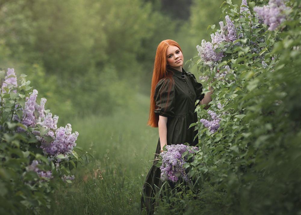 Сирень