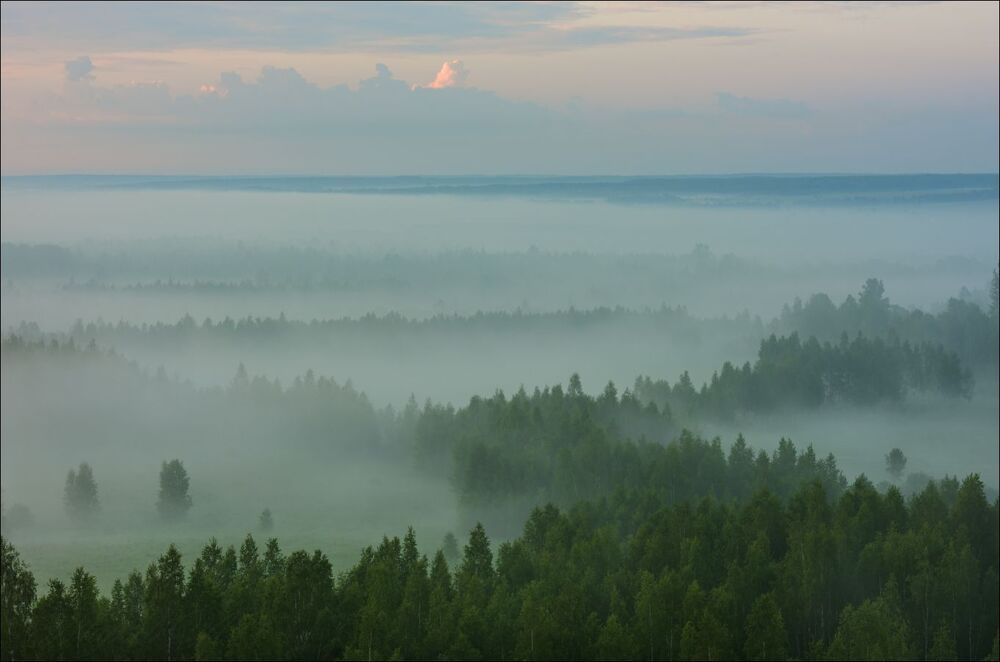 Туманное утро