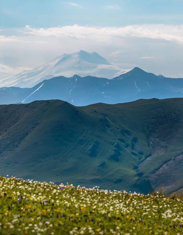Горные виды