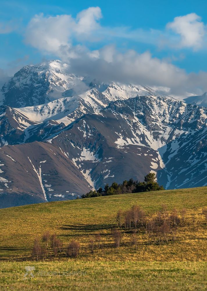 Горные виды